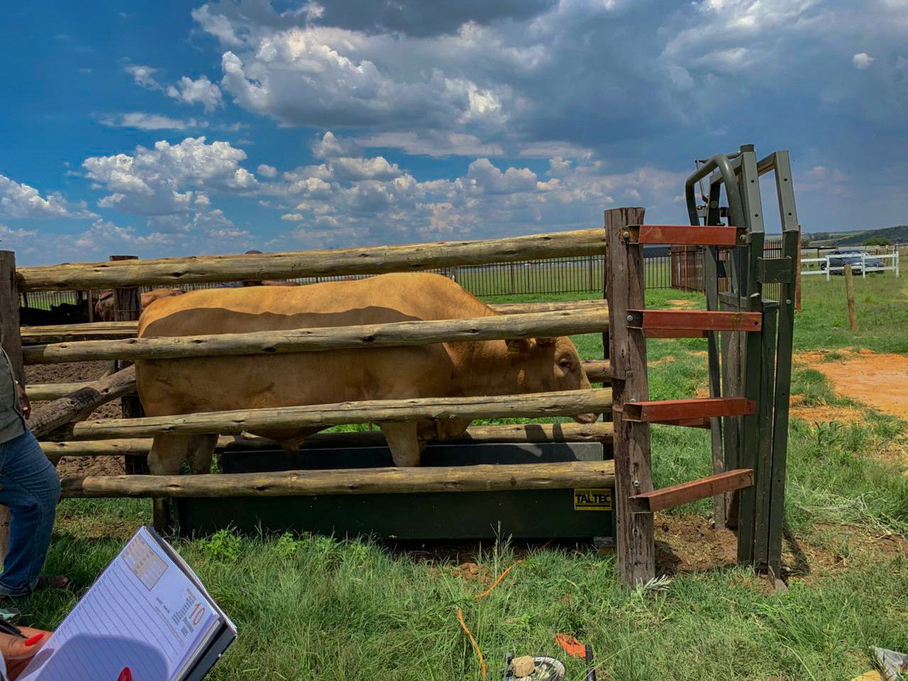 Placeholder image of water trough