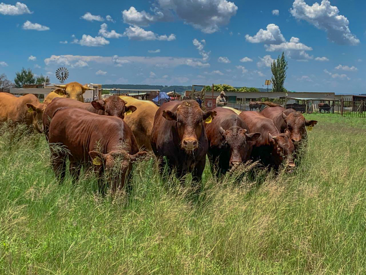 Placeholder image of farm entrance sign