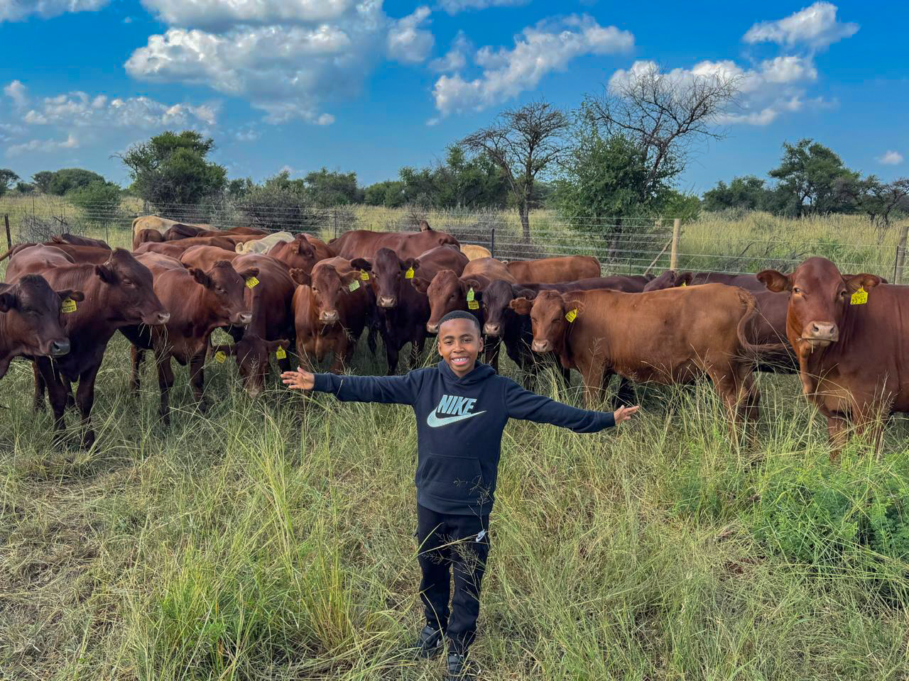 A beautiful view of the farm at MABU AGROFARM